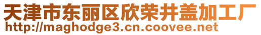 天津市东丽区欣荣井盖加工厂