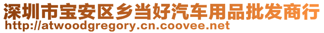 深圳市寶安區(qū)鄉(xiāng)當好汽車用品批發(fā)商行