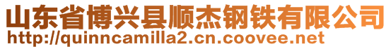 山东省博兴县顺杰钢铁有限公司