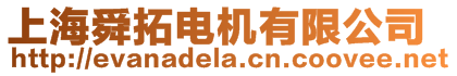 上海舜拓電機有限公司