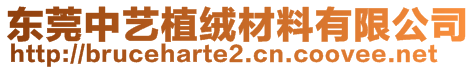 東莞中藝植絨材料有限公司