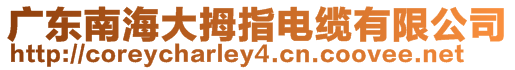 廣東南海大拇指電纜有限公司