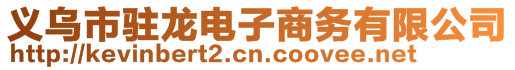 義烏市駐龍電子商務有限公司