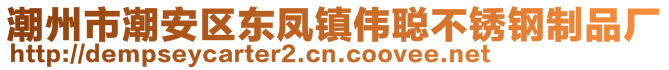 潮州市潮安區(qū)東鳳鎮(zhèn)偉聰不銹鋼制品廠