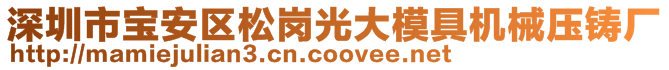 深圳市寶安區(qū)松崗光大模具機械壓鑄廠