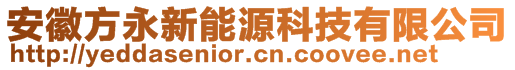 安徽方永新能源科技有限公司