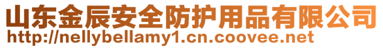 山東金辰安全防護(hù)用品有限公司