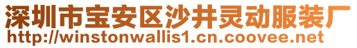 深圳市寶安區(qū)沙井靈動服裝廠