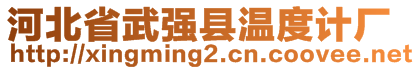 河北省武強縣溫度計廠