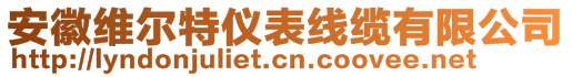 安徽維爾特儀表線纜有限公司