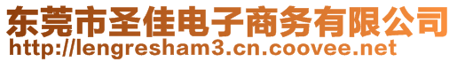 東莞市圣佳電子商務(wù)有限公司