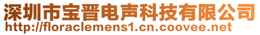 深圳市寶晉電聲科技有限公司