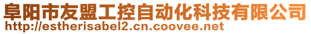 阜阳市友盟工控自动化科技有限公司