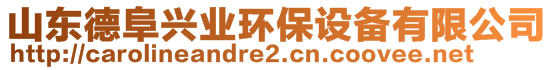 山東德阜興業(yè)環(huán)保設(shè)備有限公司