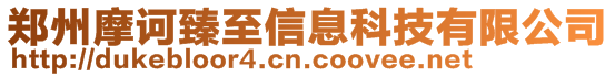 鄭州摩訶臻至信息科技有限公司