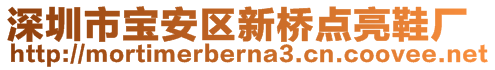 深圳市寶安區(qū)新橋點(diǎn)亮鞋廠