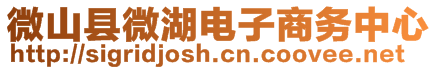 微山縣微湖電子商務中心