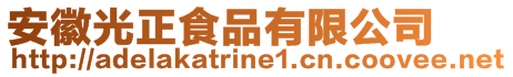 安徽光正食品有限公司