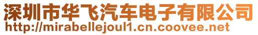 深圳市華飛汽車電子有限公司