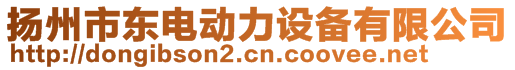 揚(yáng)州市東電動(dòng)力設(shè)備有限公司