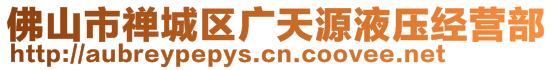 佛山市禅城区广天源液压经营部