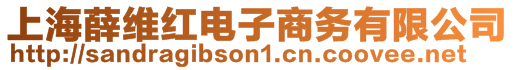 上海薛維紅電子商務(wù)有限公司