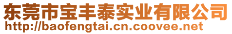 東莞市寶豐泰實業(yè)有限公司