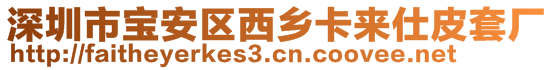 深圳市寶安區(qū)西鄉(xiāng)卡來仕皮套廠