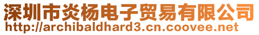 深圳市炎楊電子貿(mào)易有限公司