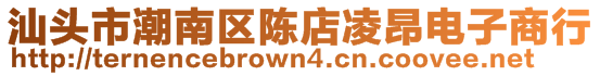 汕头市潮南区陈店凌昂电子商行