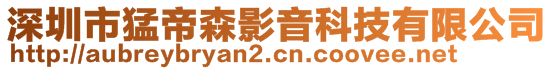 深圳市猛帝森影音科技有限公司