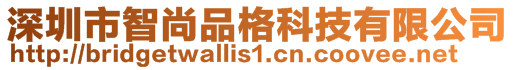 深圳市智尚品格科技有限公司