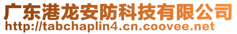 广东港龙安防科技有限公司