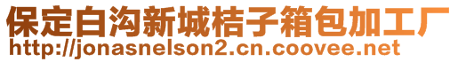 保定白溝新城桔子箱包加工廠