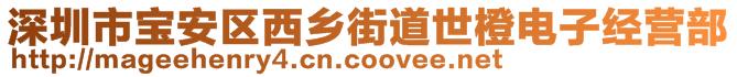 深圳市寶安區(qū)西鄉(xiāng)街道世橙電子經營部