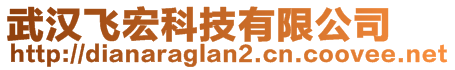 武漢飛宏科技有限公司