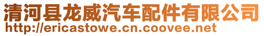 清河縣龍威汽車配件有限公司