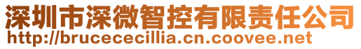 深圳市深微智控有限责任公司