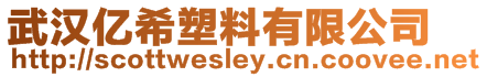 武漢億希塑料有限公司