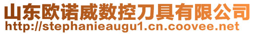 山東歐諾威數(shù)控刀具有限公司