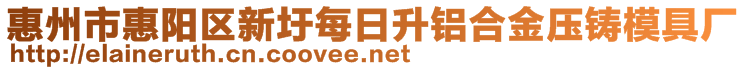 惠州市惠阳区新圩每日升铝合金压铸模具厂