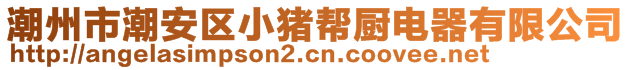 潮州市潮安區(qū)小豬幫廚電器有限公司