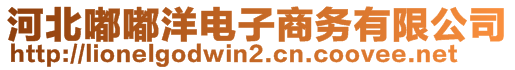 河北嘟嘟洋電子商務有限公司