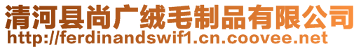 清河縣尚廣絨毛制品有限公司