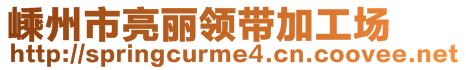 嵊州市亮麗領(lǐng)帶加工場