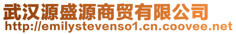 武漢源盛源商貿(mào)有限公司