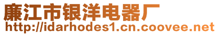 廉江市銀洋電器廠