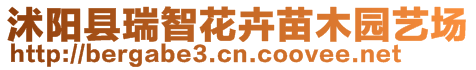 沭陽縣瑞智花卉苗木園藝場