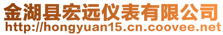 金湖縣宏遠(yuǎn)儀表有限公司