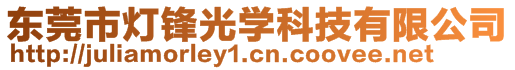 東莞市燈鋒光學科技有限公司